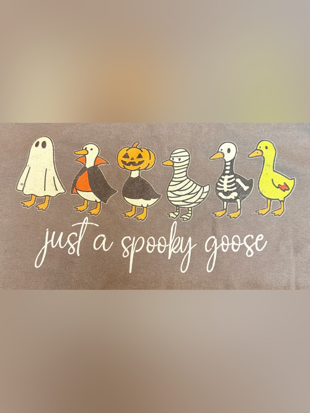 Just A Spooky Goose Halloween Silly Goose Funny Unisex Hooded Sweatshirt Gray La